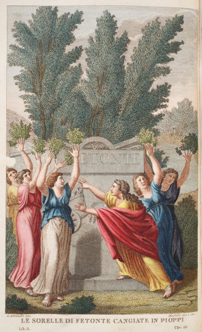 Heliades in i träd som ger bärnsten eller Le Sorelle di Fetonte Cangiante i Pioppi, illustration från Ovidius