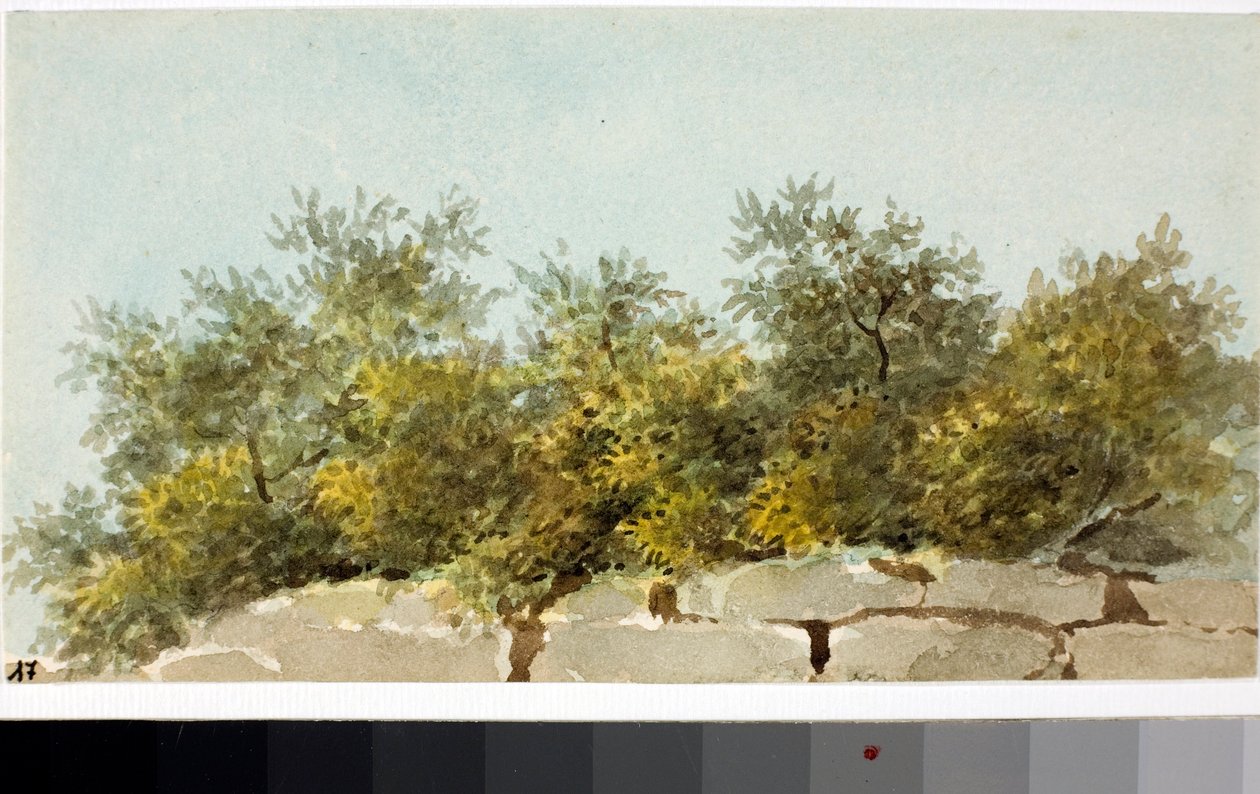 Oliver, Liguriens land (akvarell, cirka 1825) av Luigi Garibbo