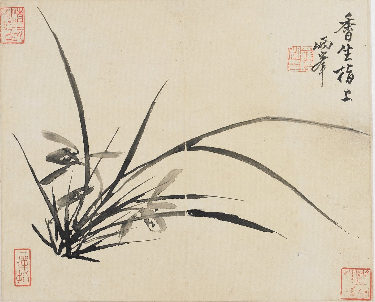 Landskap, blommor och fåglar: Orchid, Qing Dynasty, 1780 (bläck på papper) av Luo Ping