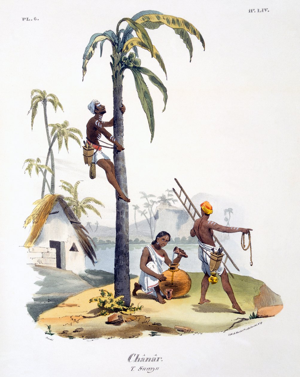 En man från Nadar-kasten som klättrar i en palm, 1827-35 av M.E. Burnouf