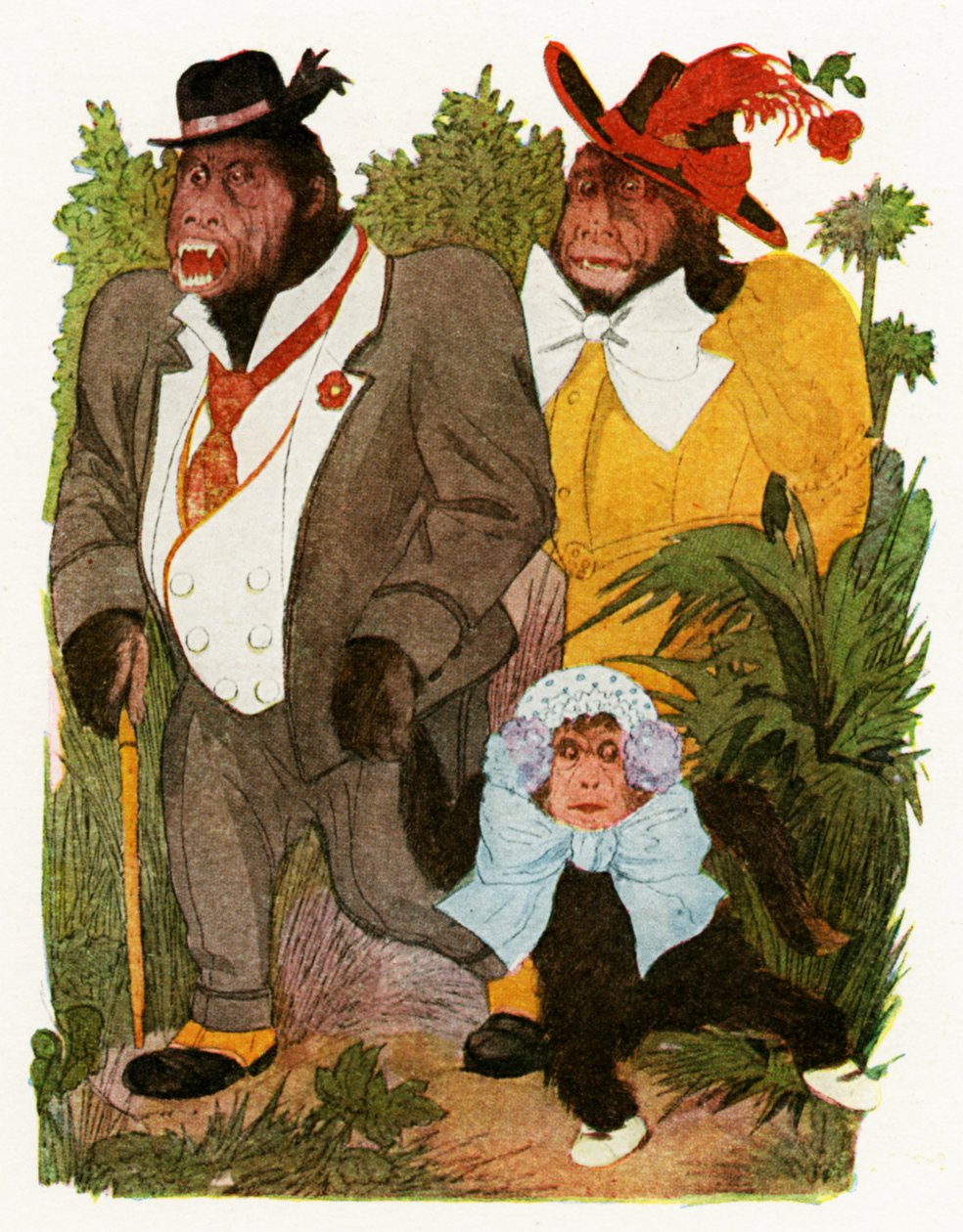 "Baby Gorilla", 1913 av Martin Ross