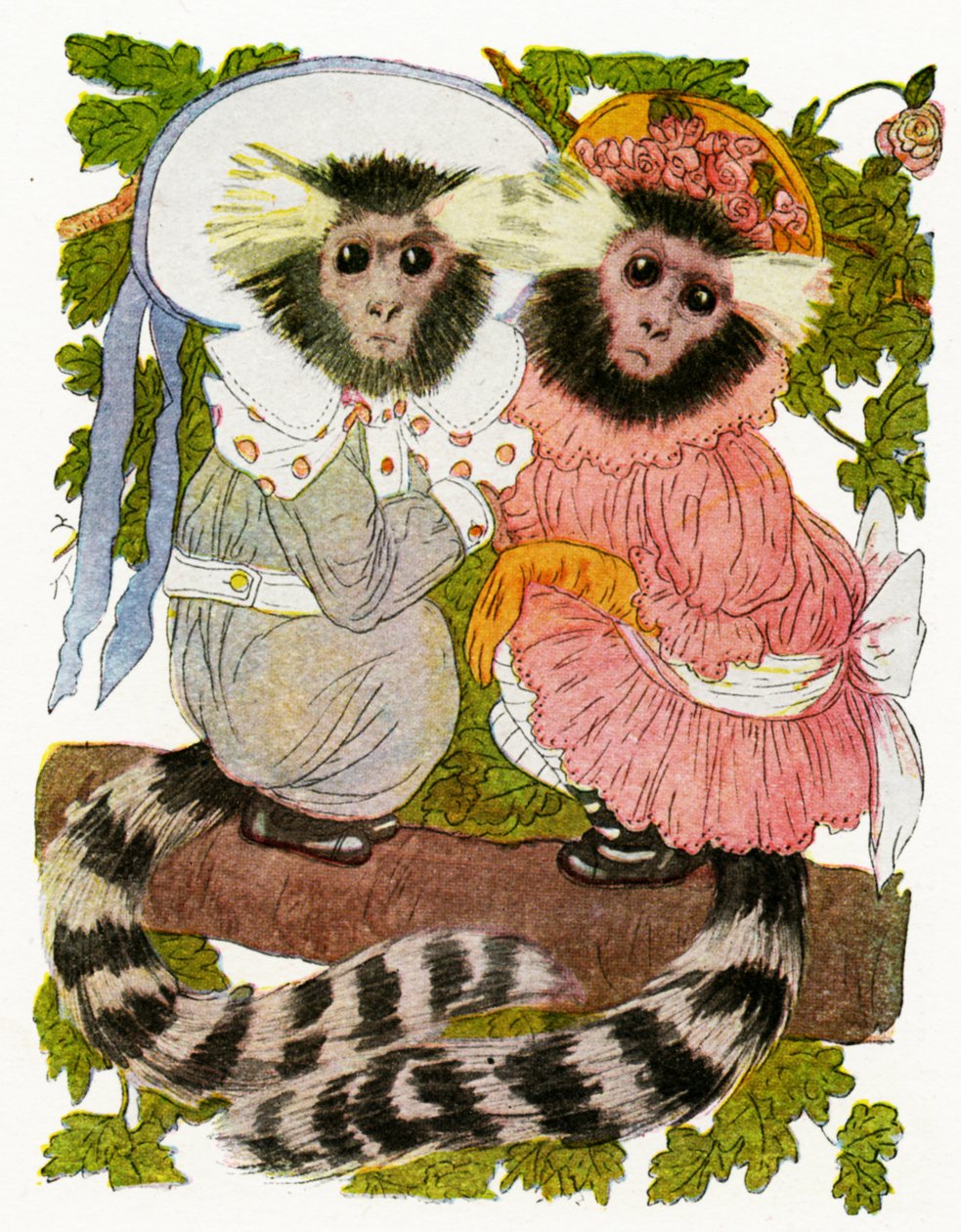 "Tvillingarna i marmoset", 1913 av Martin Ross