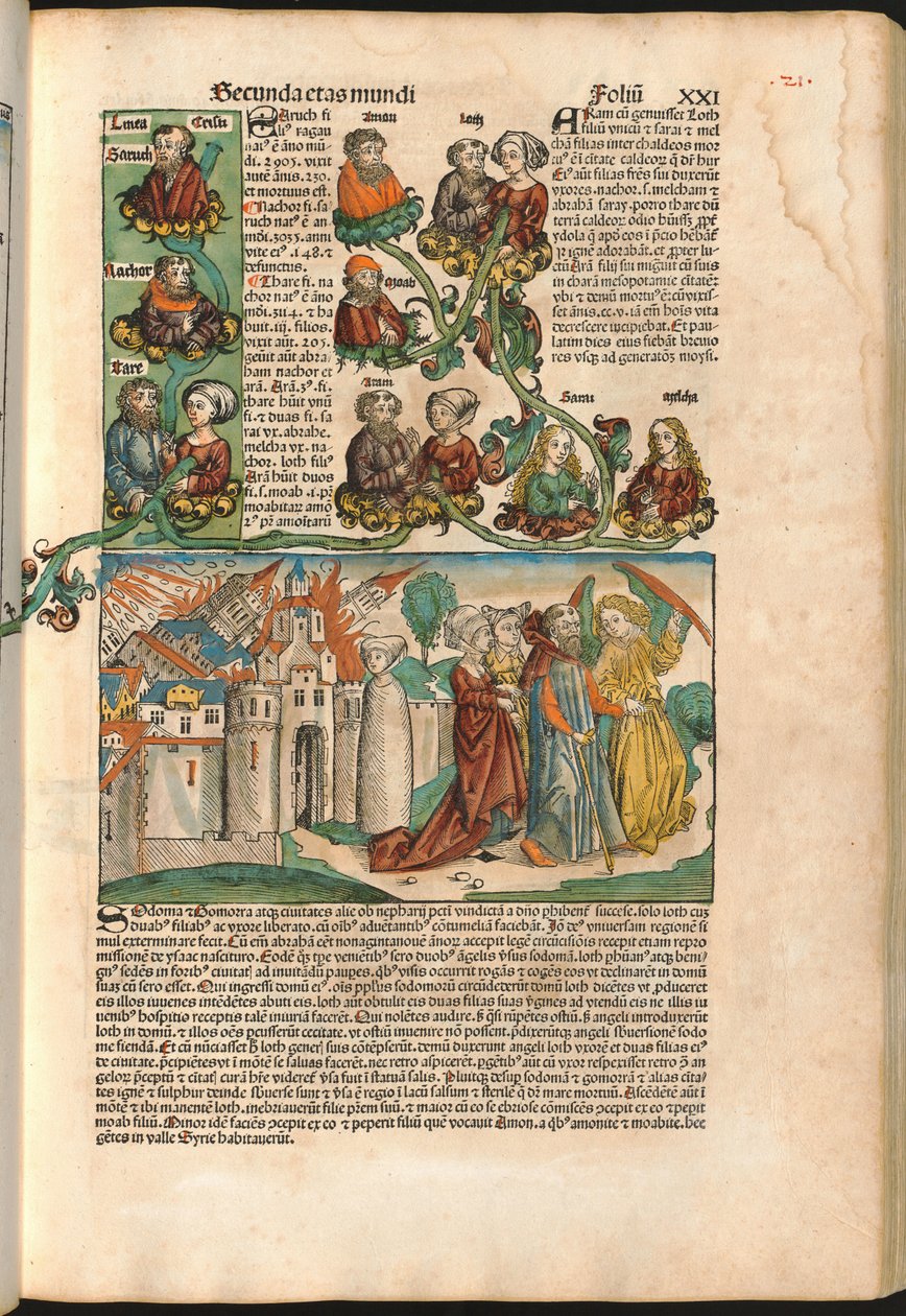 Labans genealogiska träd, från Nürnbergkrönikan av Hartmann Schedel (1440-1514) tryckt 1493 (träsnitt) av M. and Pleydenwurff W. Wolgemuth