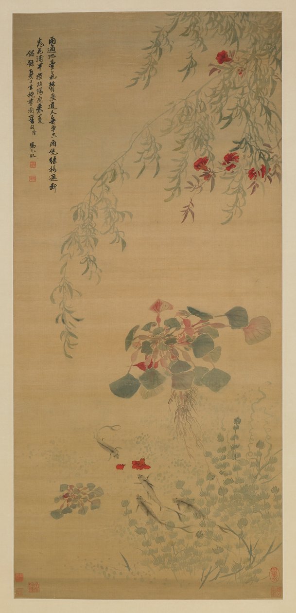 Fallna blommor, Nyfikna fiskar, Qingdynastin, tidigt 1700-tal (färg på siden) av Ma Yuanyu