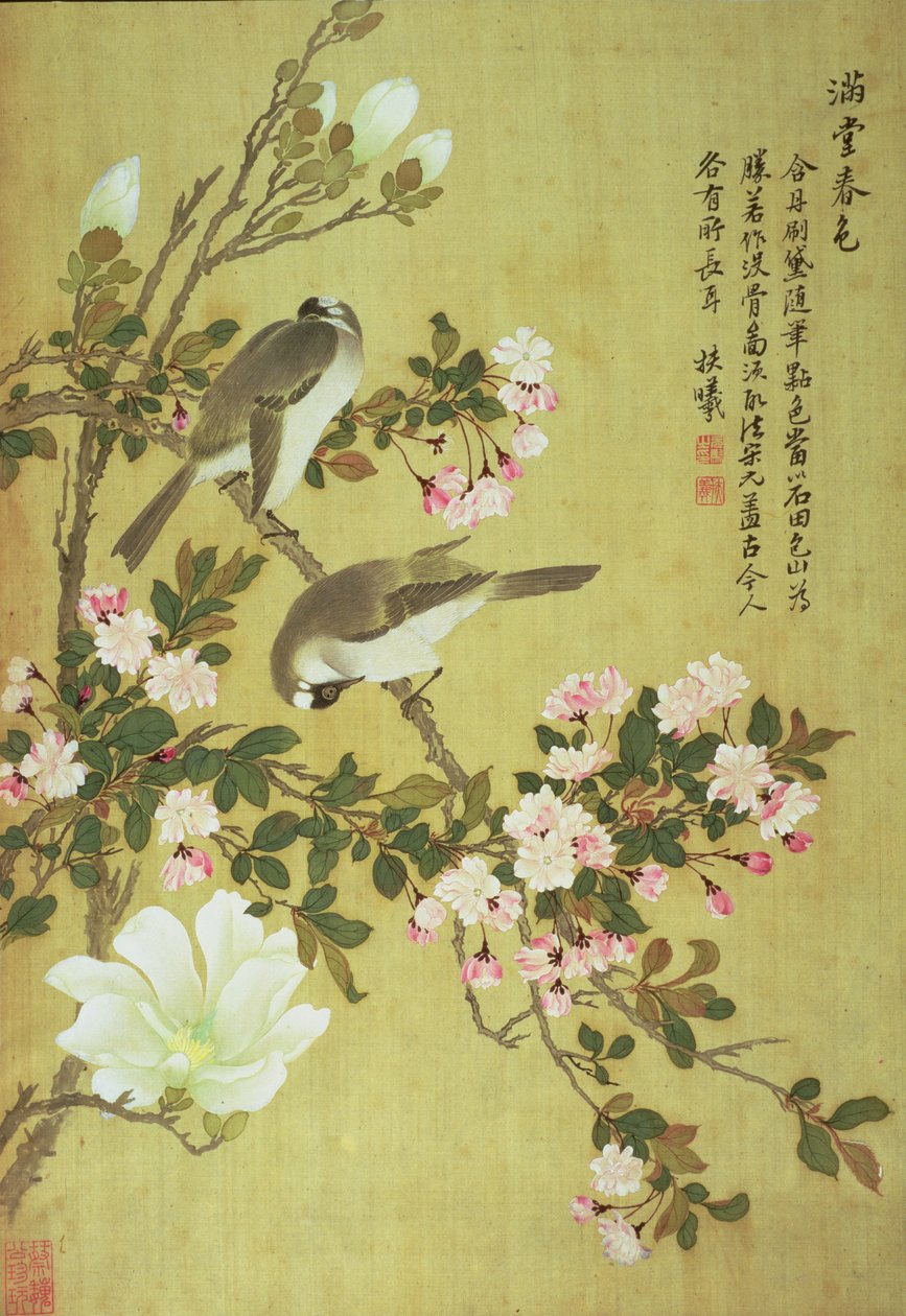 Crabapple, Magnolia och Baitou fåglar av Ma Yuanyu