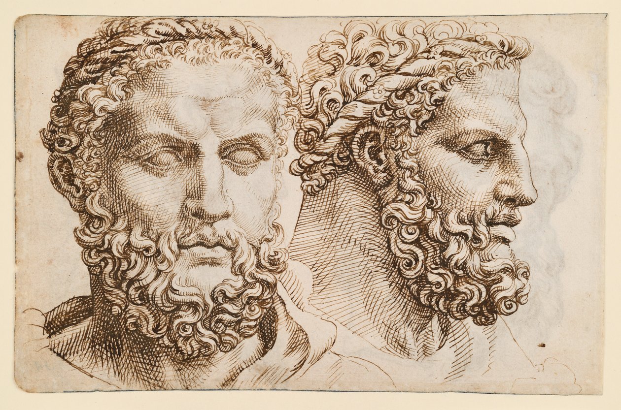 Två studier efter huvudet av Vatikanens "Herkules" av Maarten van Heemskerck