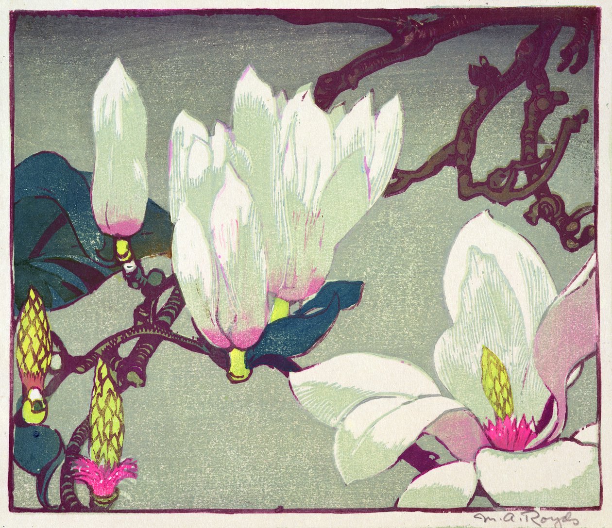 Magnolia, ca 1925 (trätryck) av Mabel Royds