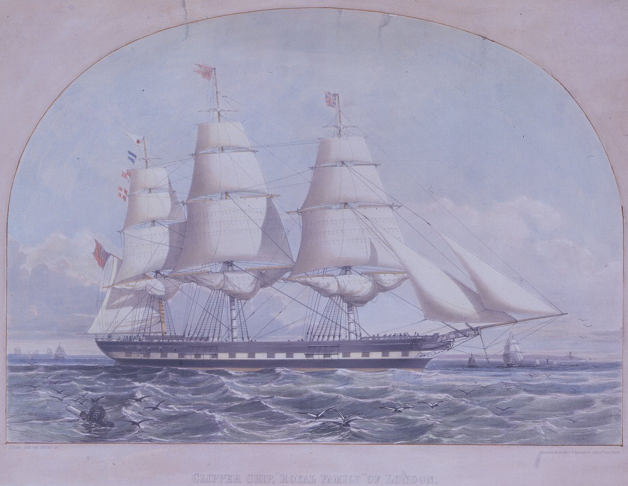 Clipperfartyget "Royal Family of London av Macdonald & Co. Maclure