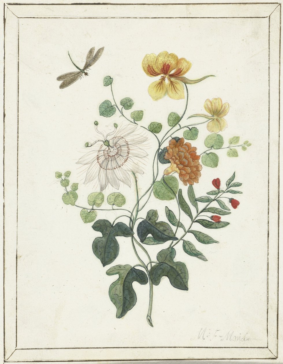 Stilleben av blommor av Machtelt Moninckx
