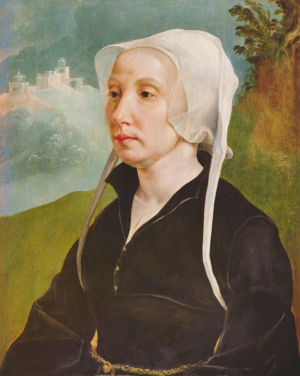 Porträtt av en kvinna (olja på pannå) av Maerten van Heemskerck