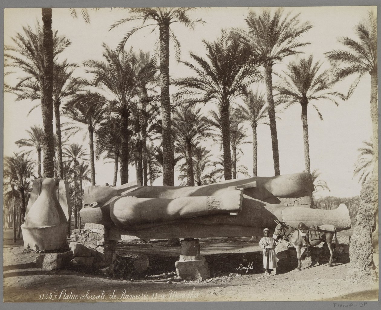 Liggande staty av Ramses II i Memphis, i förgrunden en pojke med en åsna Staty colossal de Ramesses II à Memphis (titel på objekt) av Maison Bonfils