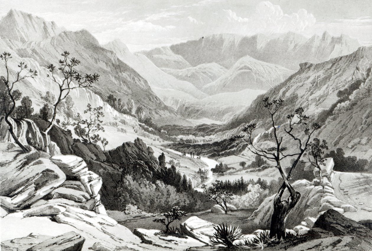 Vy mellan Senafe och Rahaguddy graverad av James Ferguson (litografi) av Major A.G.F. Hogg
