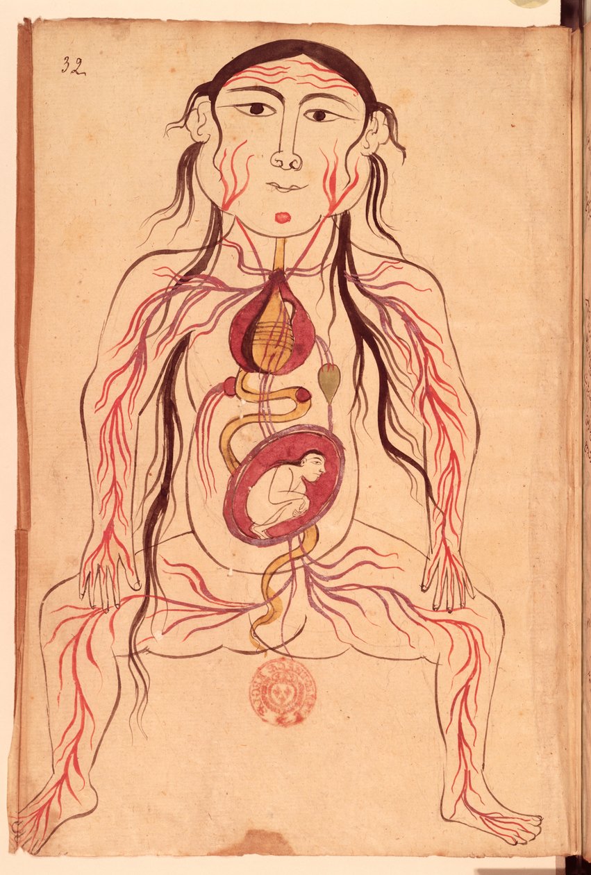 Ms Persan 151 Fol.32 Anatomiskt diagram över en kvinna och hennes foster av Mansour b. Eliyas Chirazi