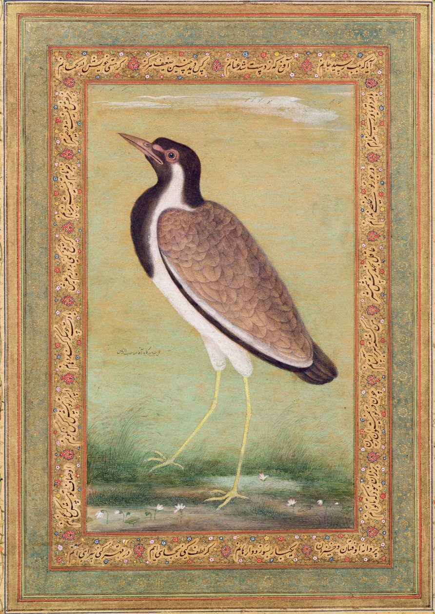 Indisk vipa, ca 1800 av Mansur