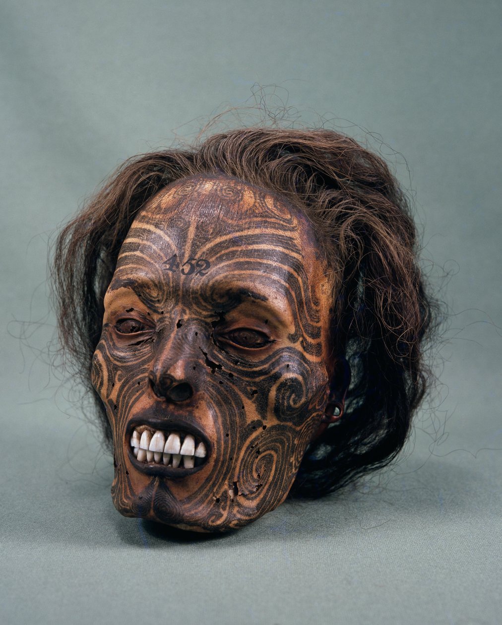 Stamhövdingens huvud, tatuerat och mumifierat, maori-civilisation av Maori Maori