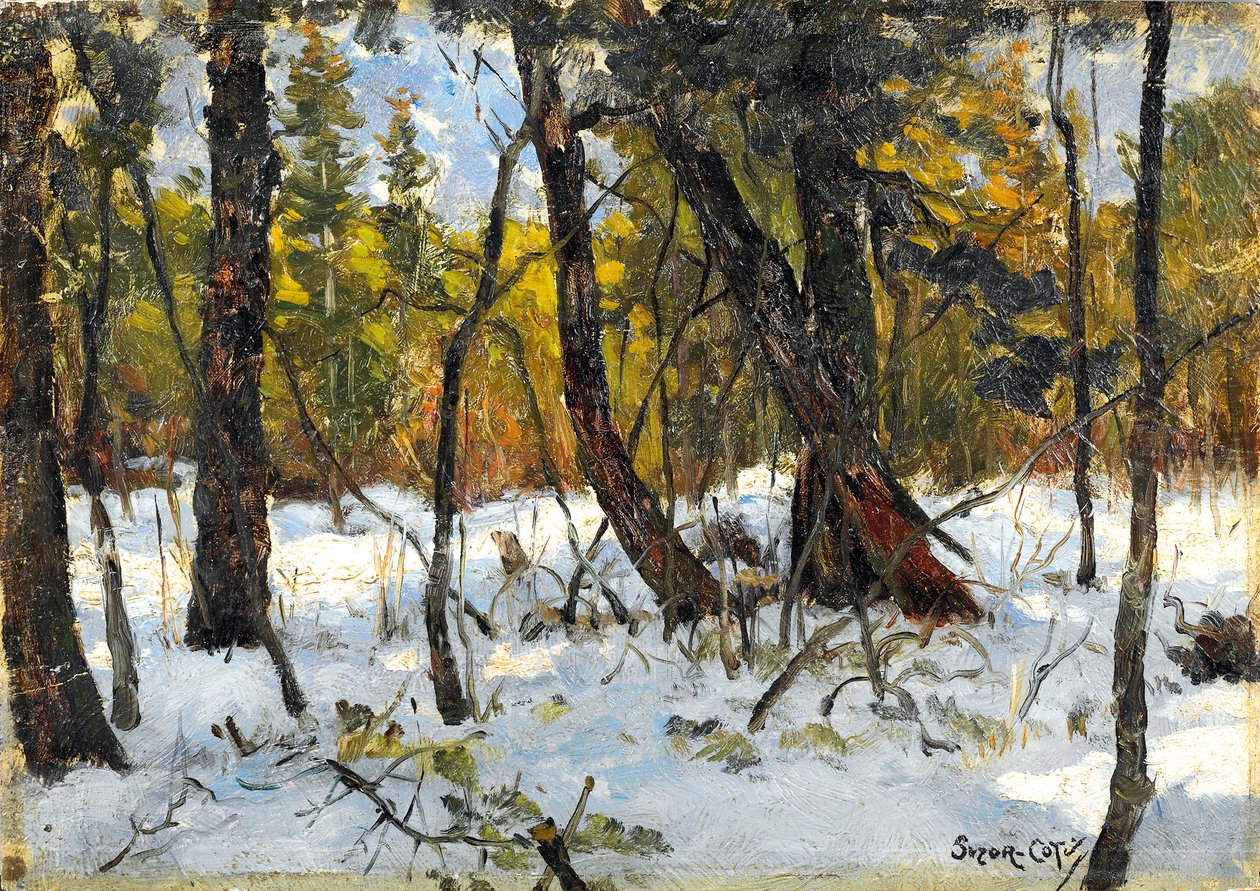 Skogsmark på vintern (olja på papper läggs ombord) av Marc Aurele de Roy Suzor Cote