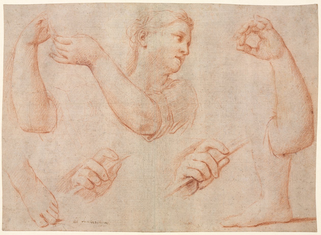 Studie av en ung kvinna som spelar en tamburin och studier av en arm, händer och fötter..., ca. 1711. av Marcantonio Franceschini