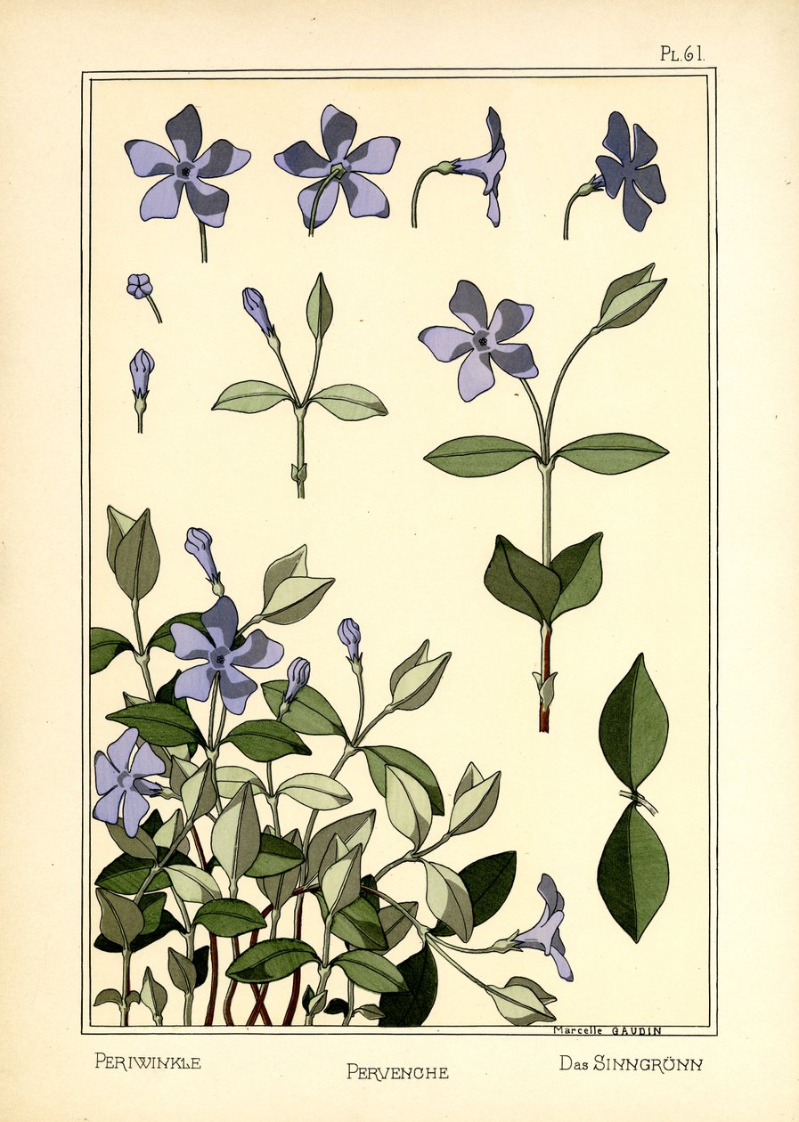 Perewinkle av Marcelle Gaudin