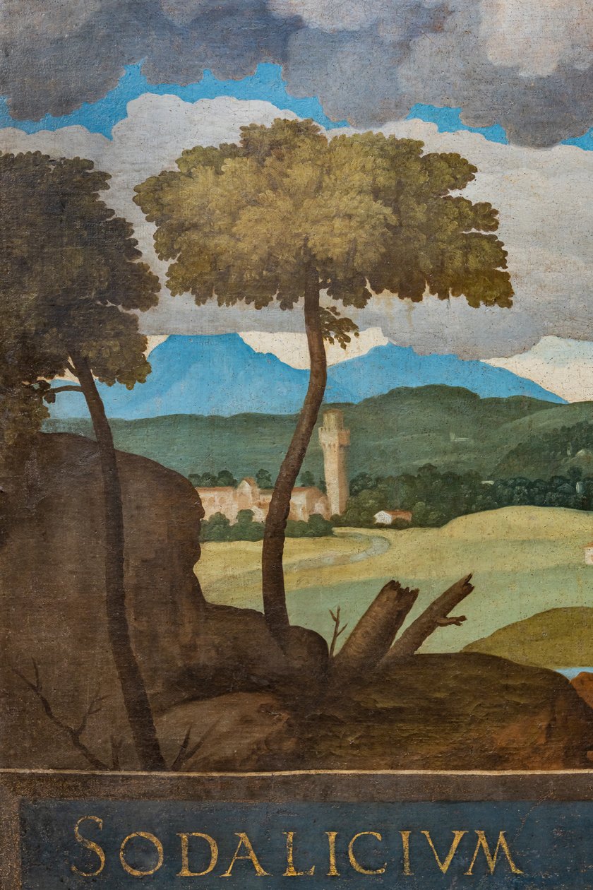 Detalj av staden Vicenza av Marcello Fogolino