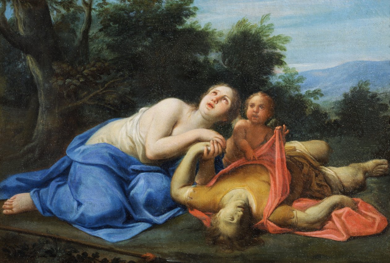Okänd bild av Marcantonio Franceschini
