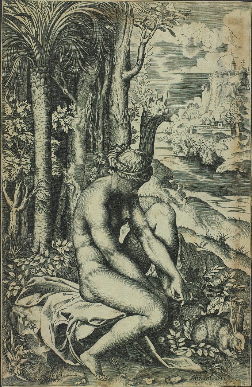 Venus wounded by a roses thorn av Marco Dente