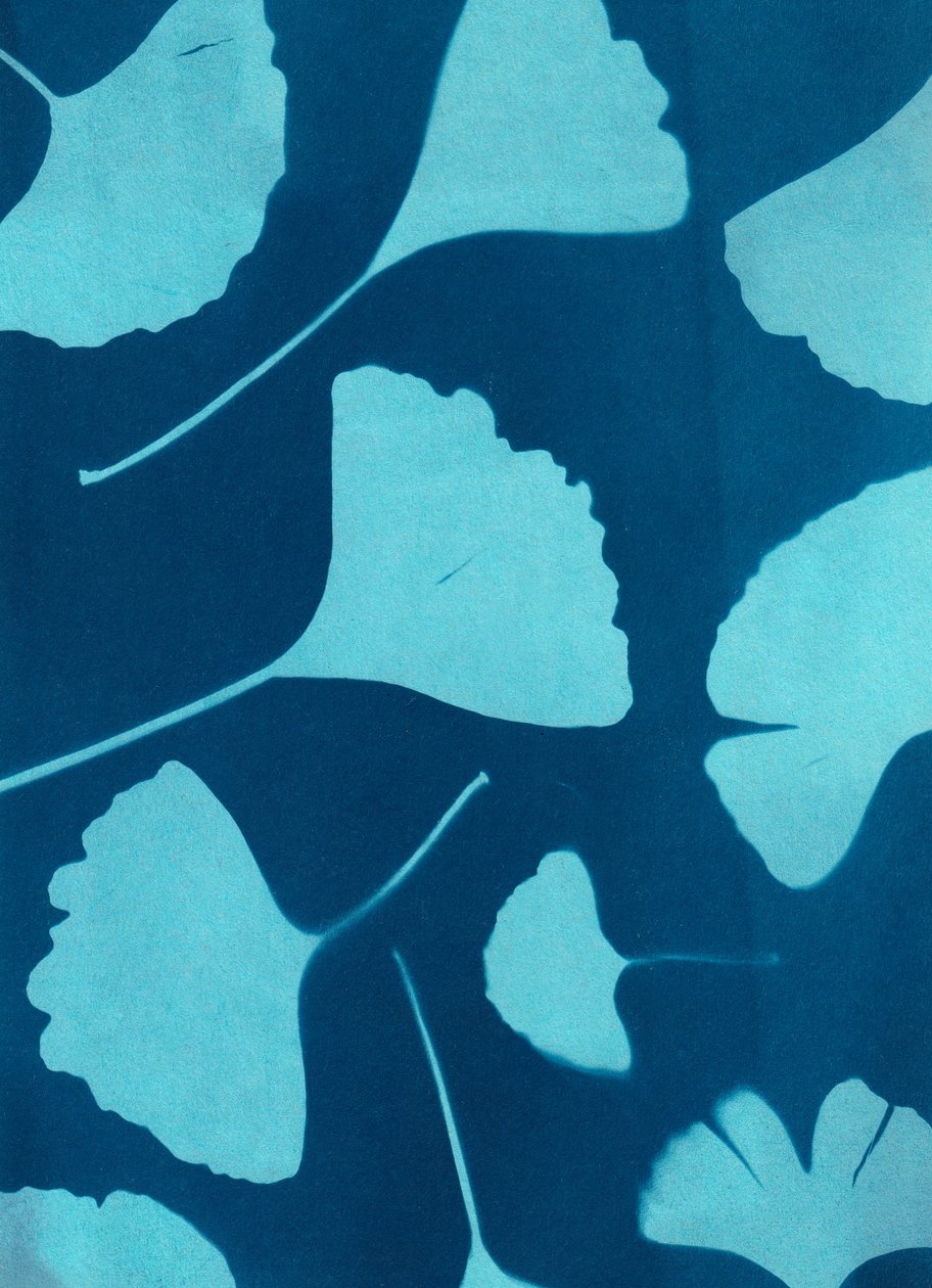 Ginkgo biloba 146, 2023 (cyanotypi, blandteknik) av Marco Campedelli