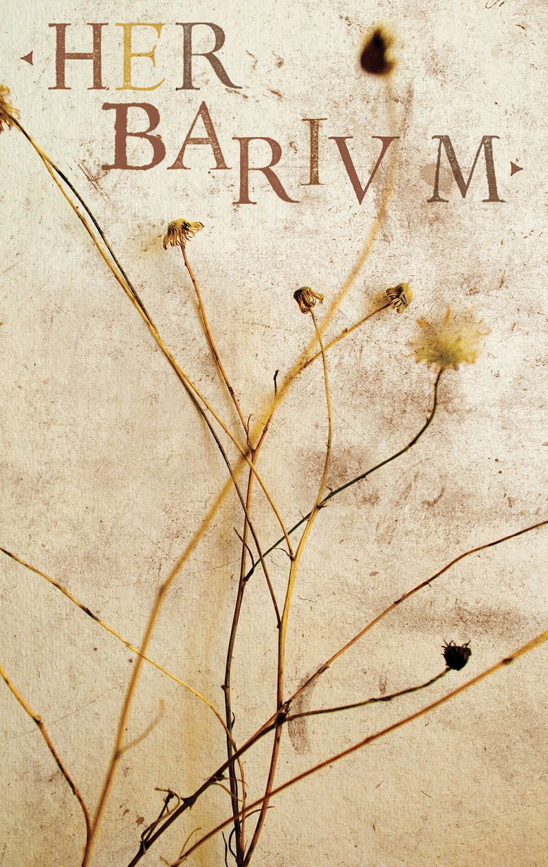 Herbarium, 2014 (blandteknik) av Marco Campedelli