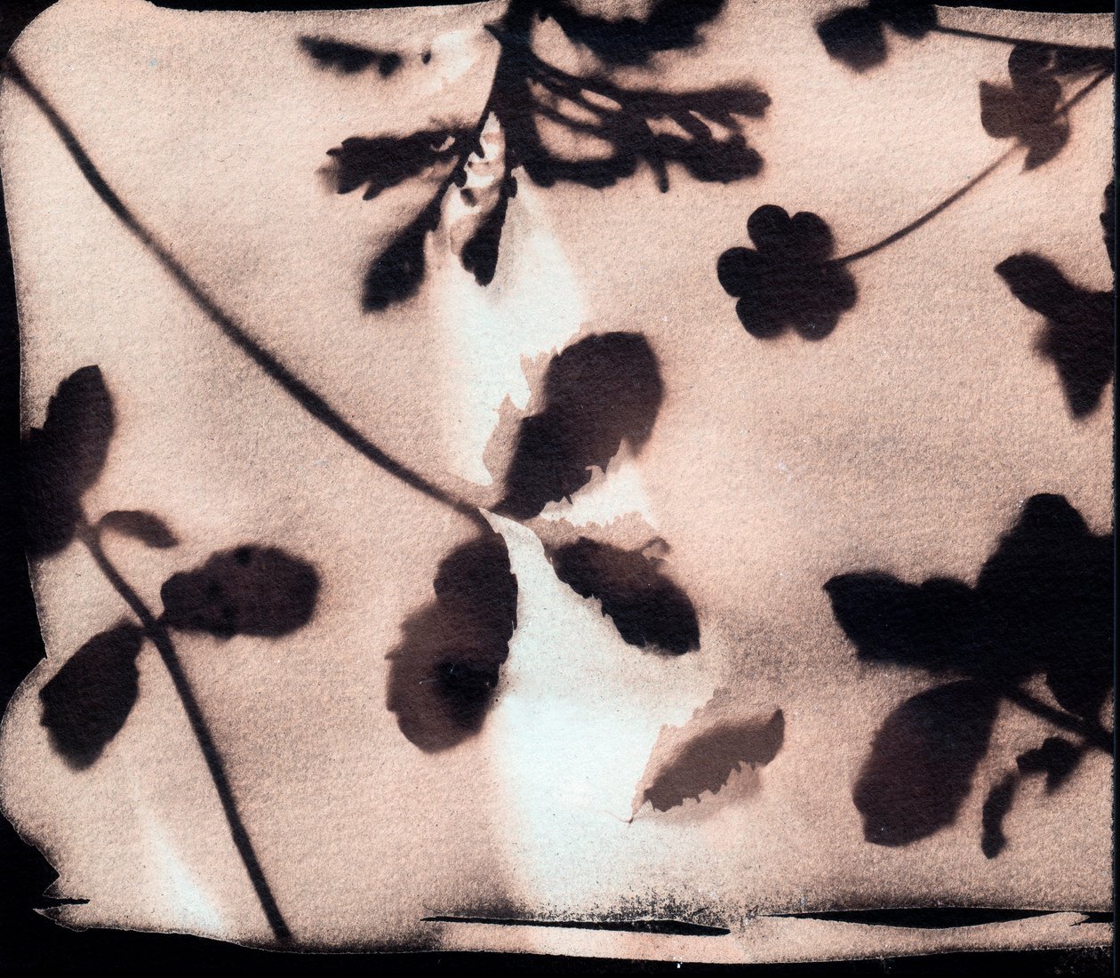 Nature, 2023 (cyanotypi, blandteknik) av Marco Campedelli