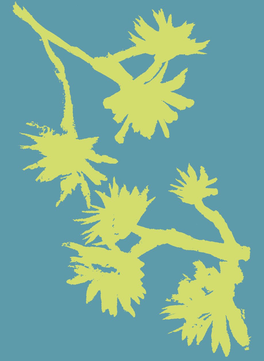 Succulent_2, 2022 (tusch på papper) av Marco Campedelli