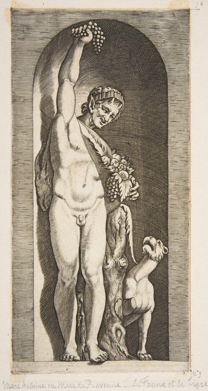En faun som står i en nisch och håller upp ett druvklase med sin högra hand och ..., ca. 1515-27. av Marco Dente