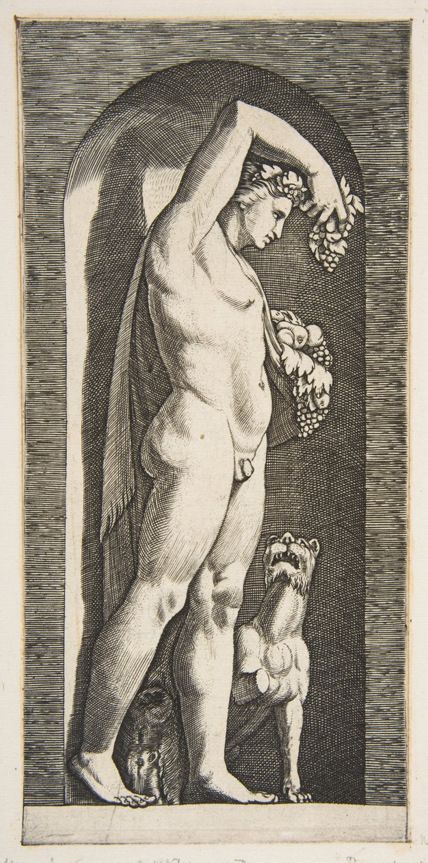 Bacchus stående i en nisch med druvor i sin upphöjda högra hand, frukt i sin l..., ca. 1515-27. av Marco Dente