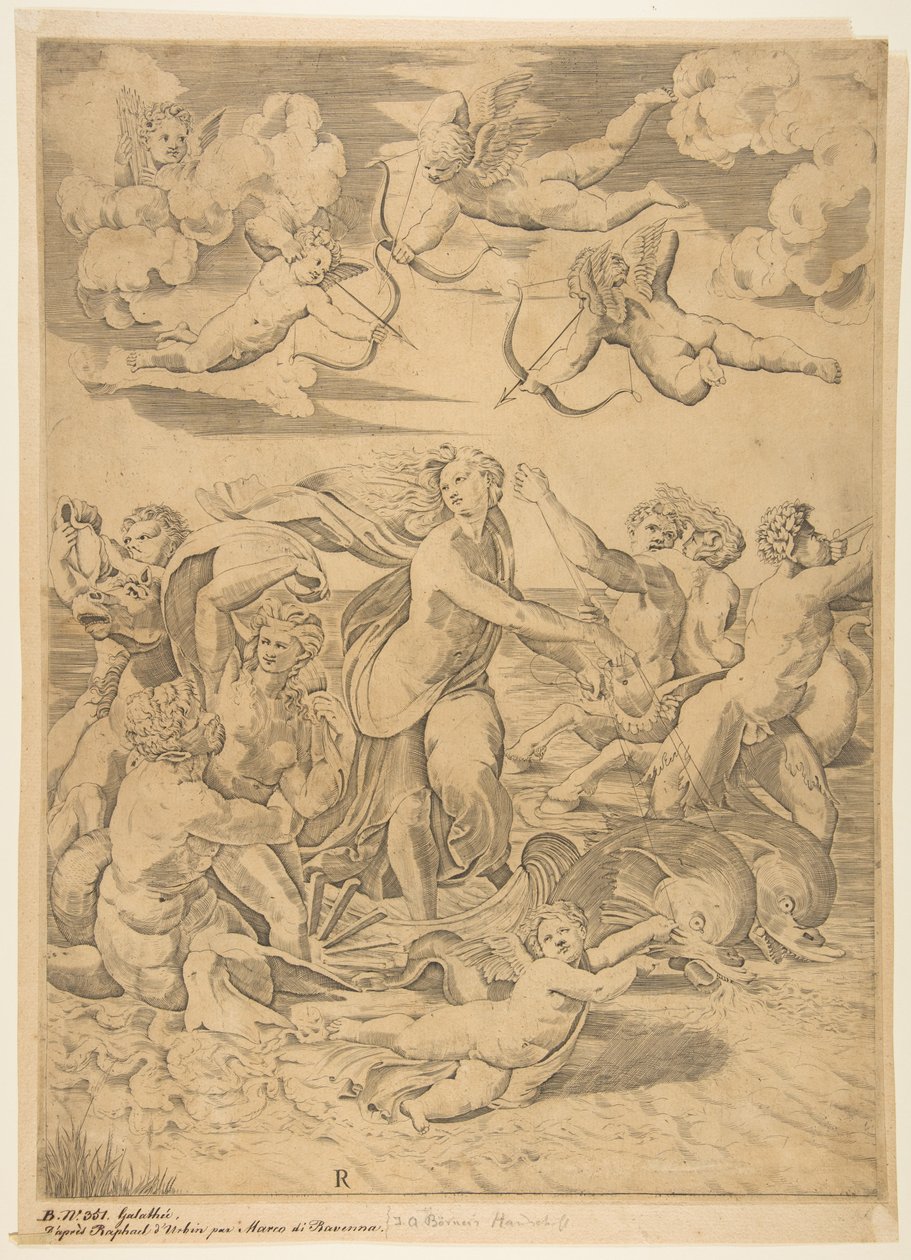 Galatea rider i ett skal som dras genom vattnet av delfiner, en cupid nedanför och f..., ca. 1515-27. av Marco Dente