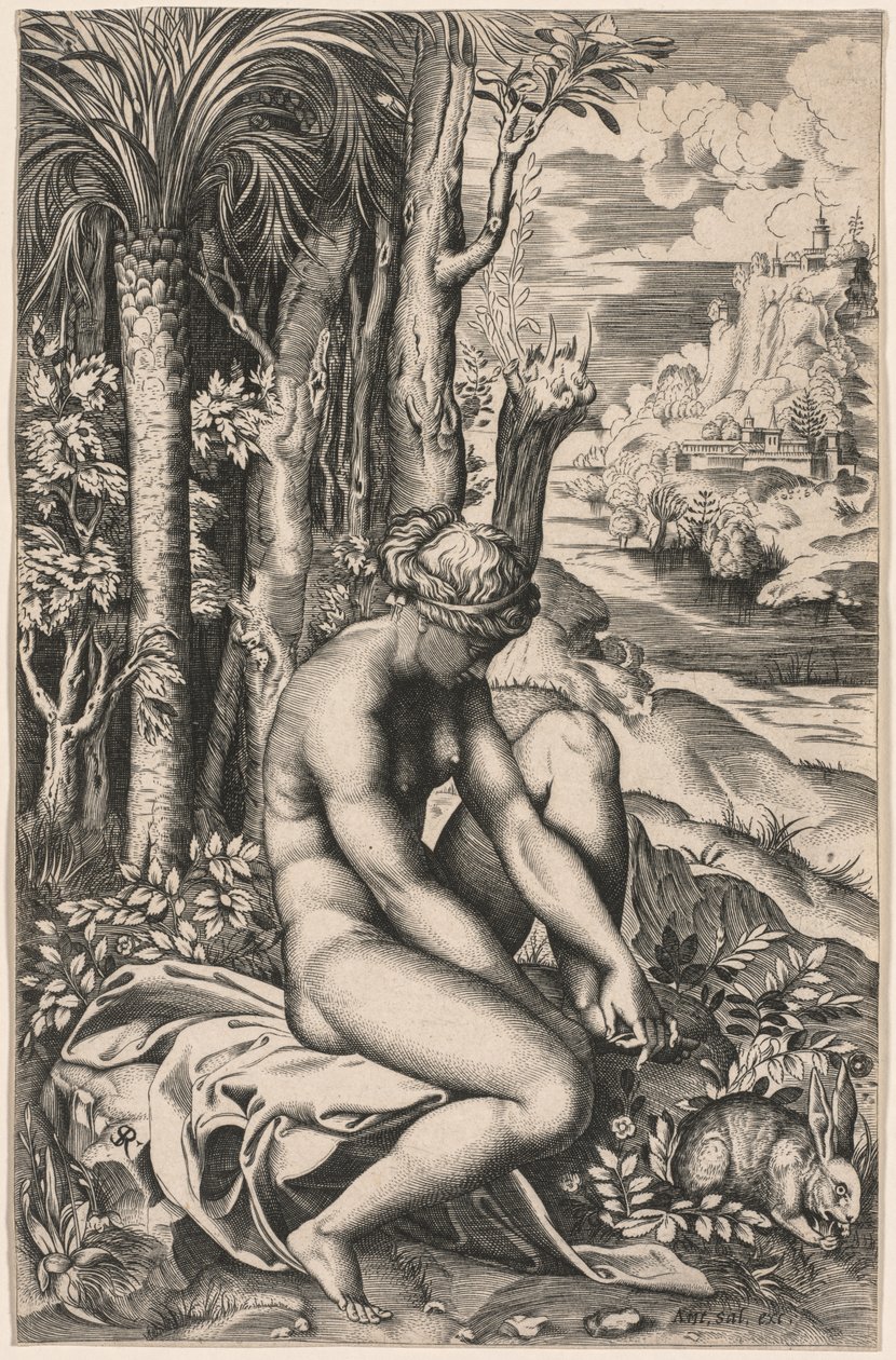 Venus sårad av en rostorn, ca. 1516. av Marco Dente