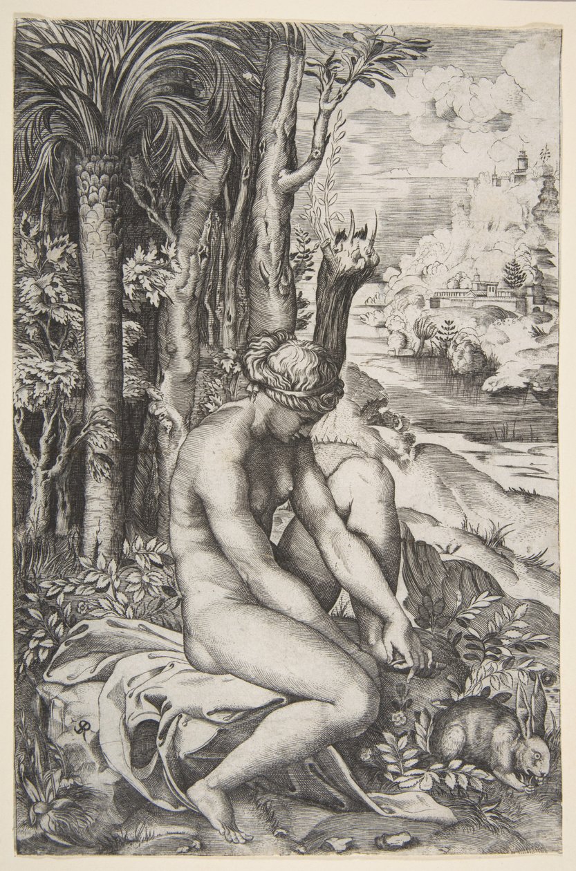 Venus tar bort en tagg från sin vänstra fot när hon sitter på en duk bredvid träd, en ..., ca. 1515-27. av Marco Dente
