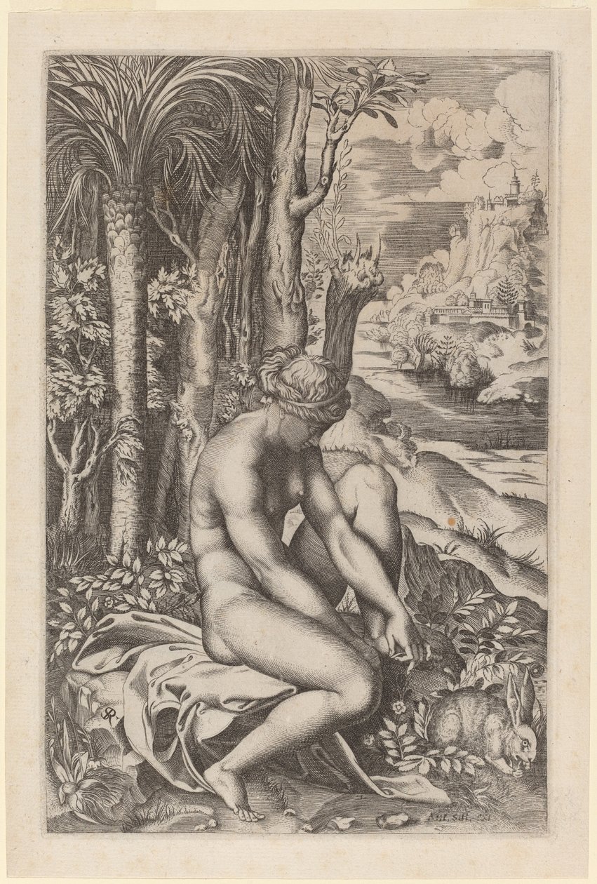 Venus utvinner en tagg från sin fot av Marco Dente after Raphael