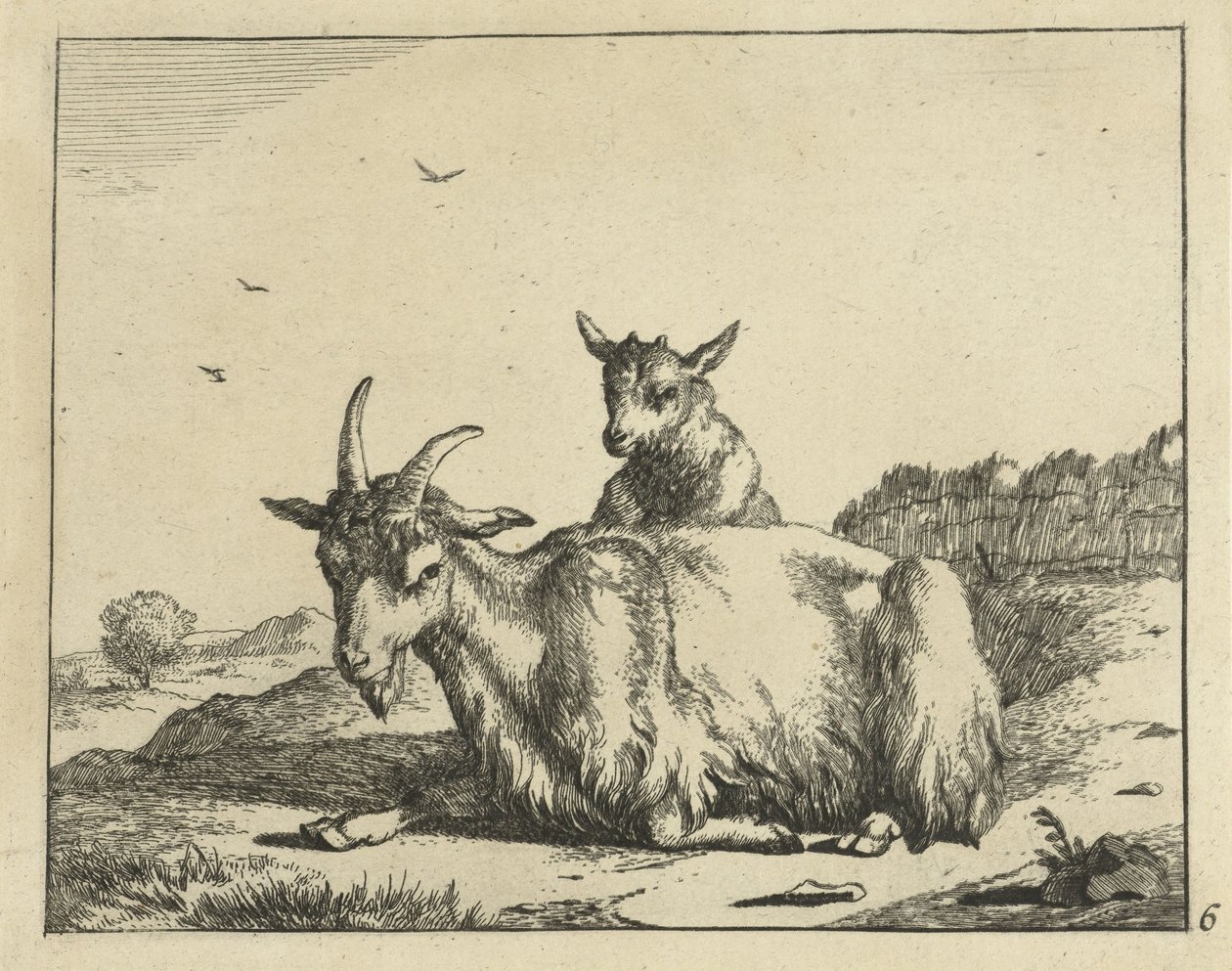Liggande get med lamm Goats and Bucks (serietitel) av Marcus de Bye