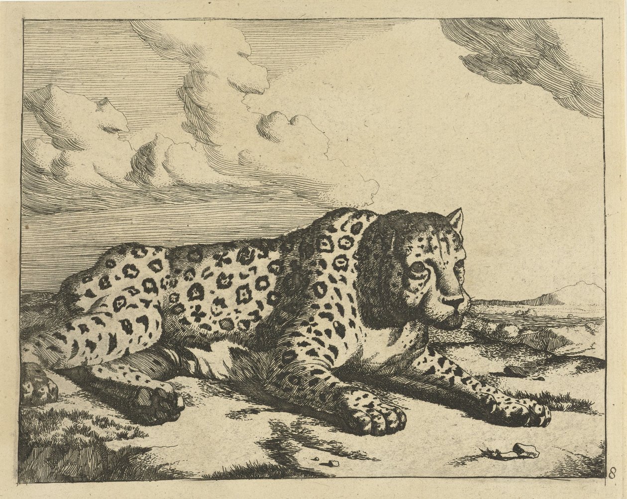 Leopard liggande till höger, tassar till betraktaren Leopards (serietitel) av Marcus de Bye