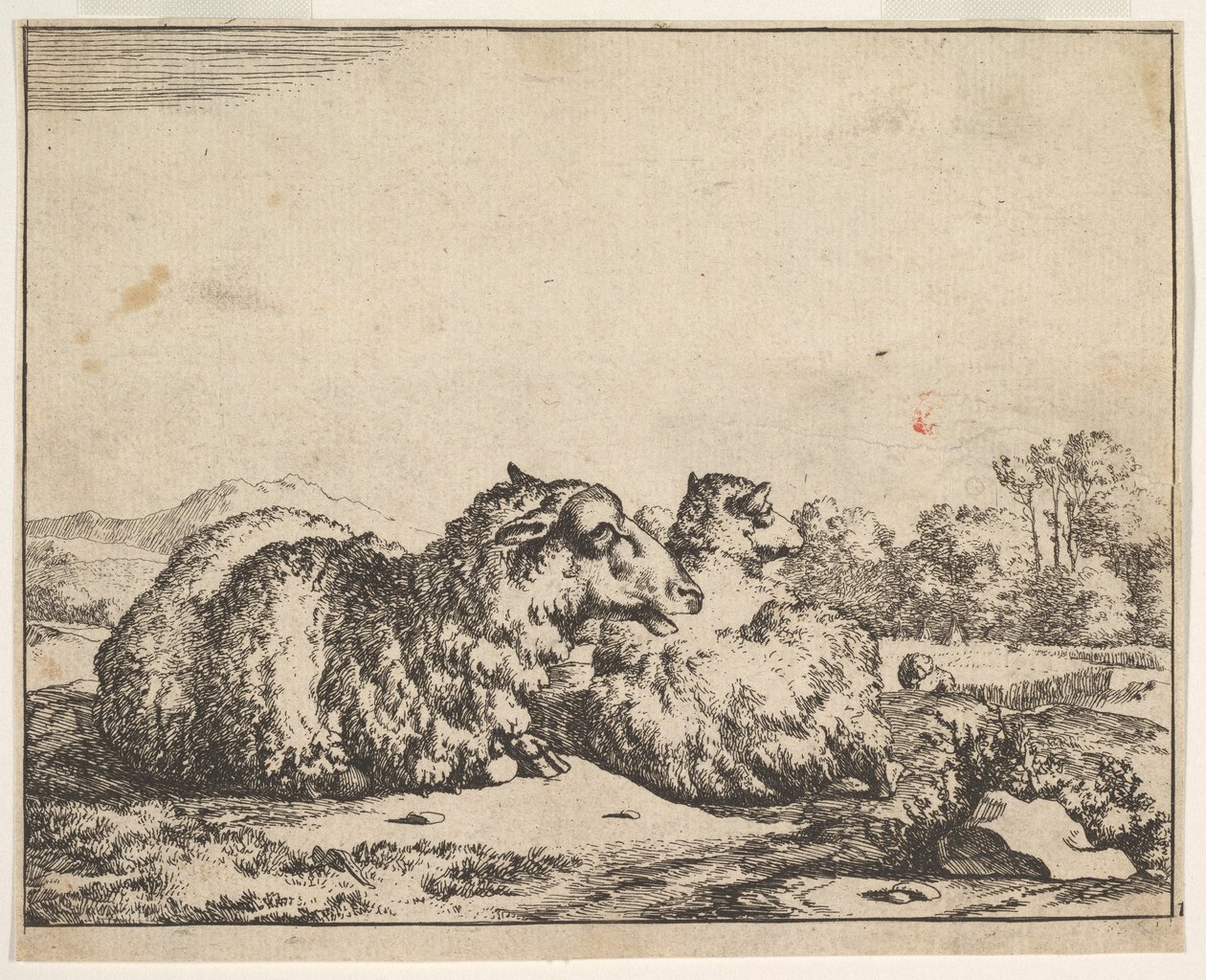 Får, från en uppsättning av 16 tallrikar, 1664. av Marcus de Bye