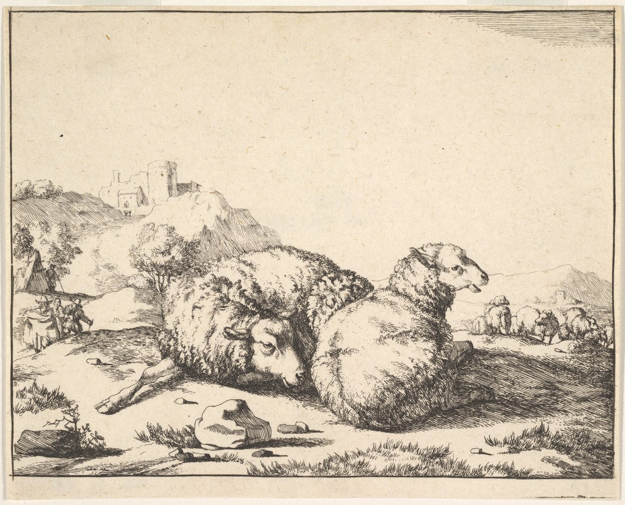 Får, från en uppsättning av 16 tallrikar, 1664. av Marcus de Bye