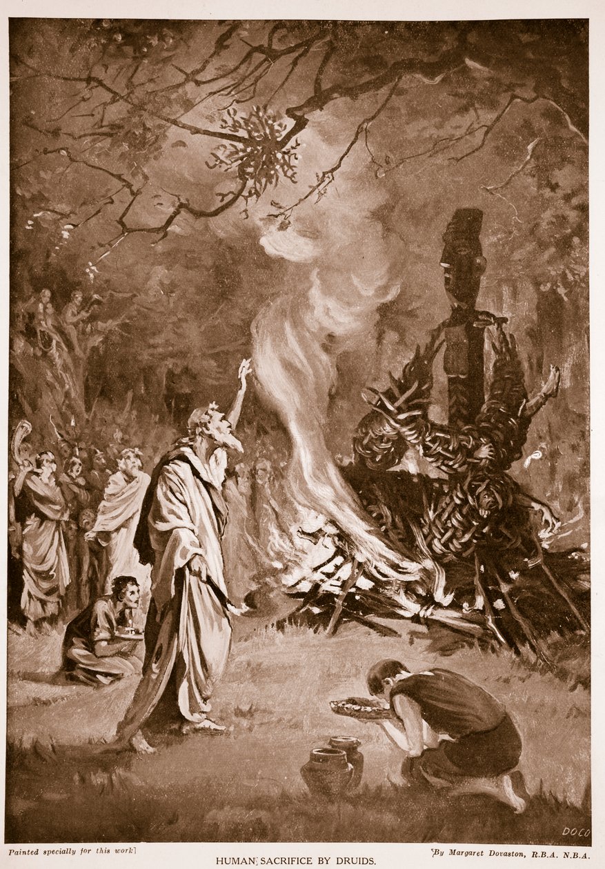 Druiderna offrar människor, illustration från "Hutchison