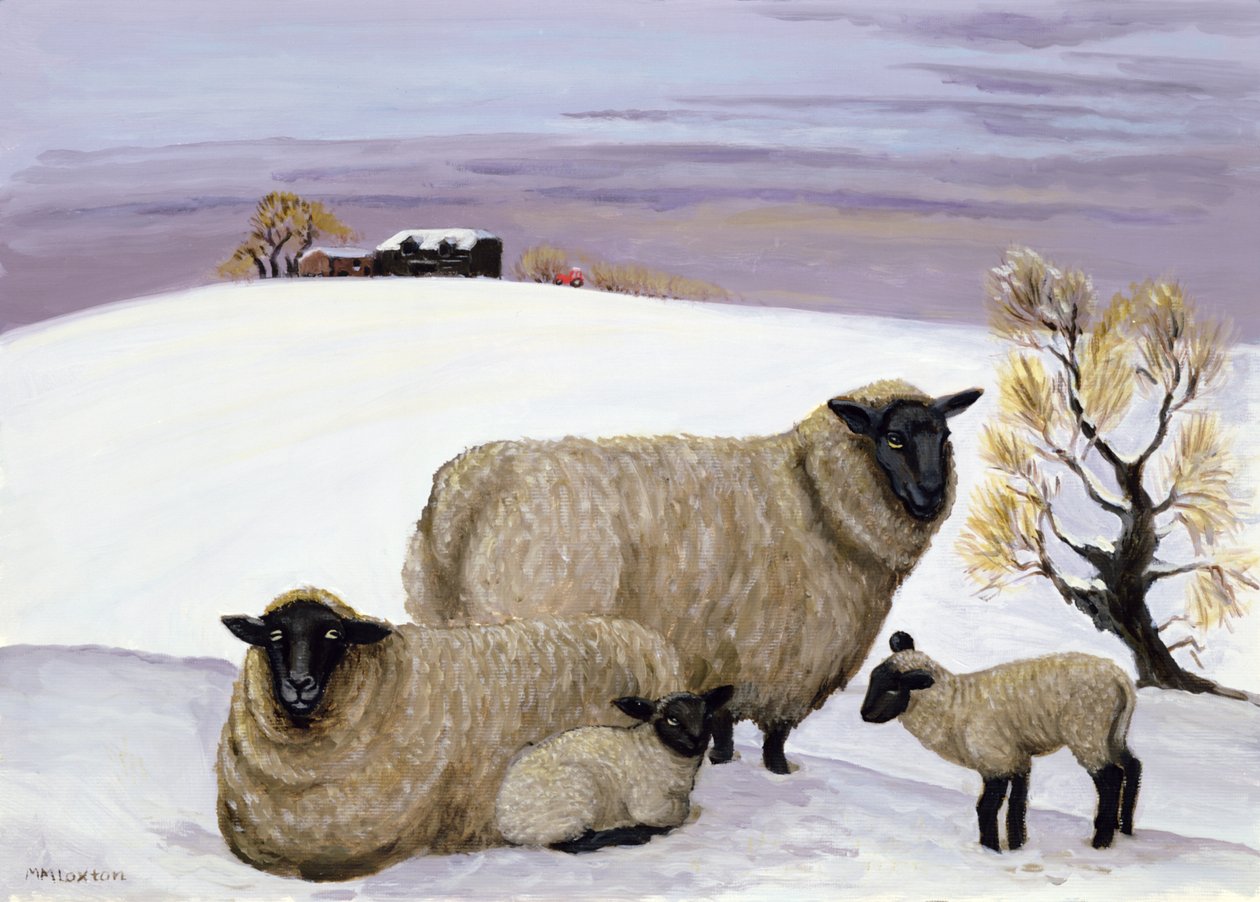 Får på vintern av Margaret Loxton