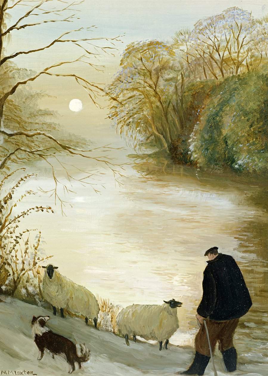 De vilsna fåren av Margaret Loxton
