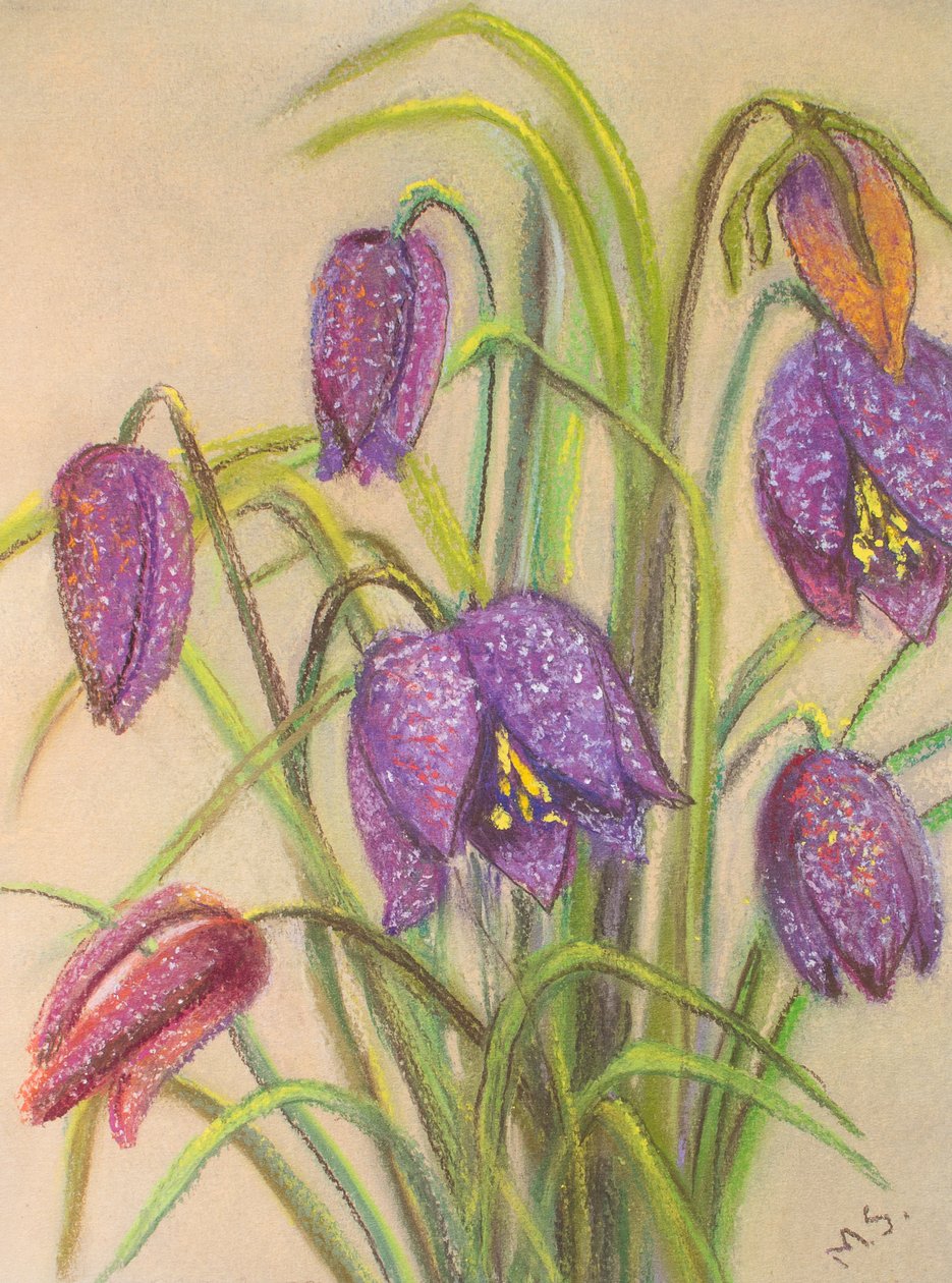 Bunch of Fritillaria, 2015 (pastell) av Margo Starkey