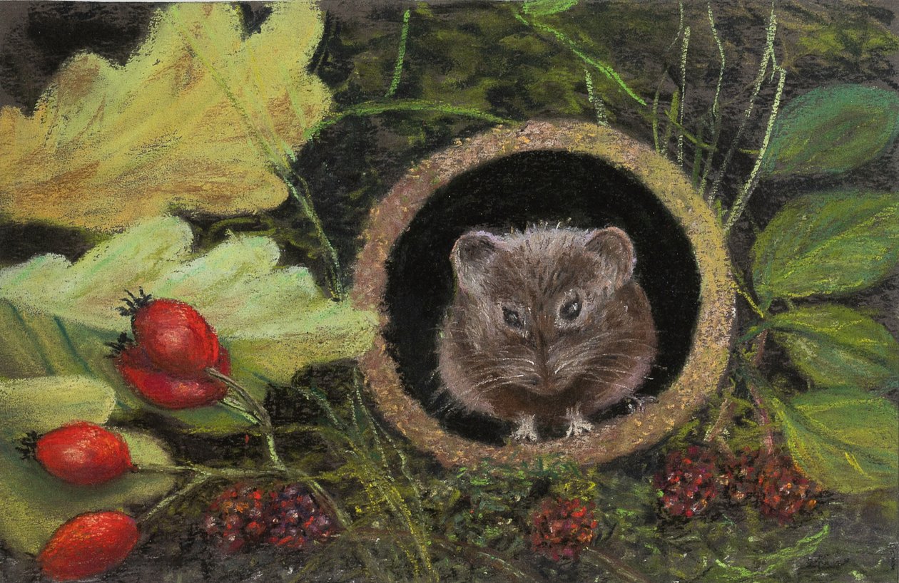 Fältmus i avloppsrör, 2020 (pastell) av Margo Starkey