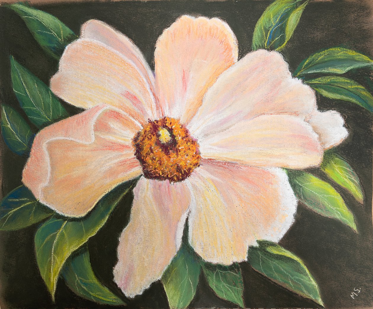 Stor pion, 2022 (pastell) av Margo Starkey