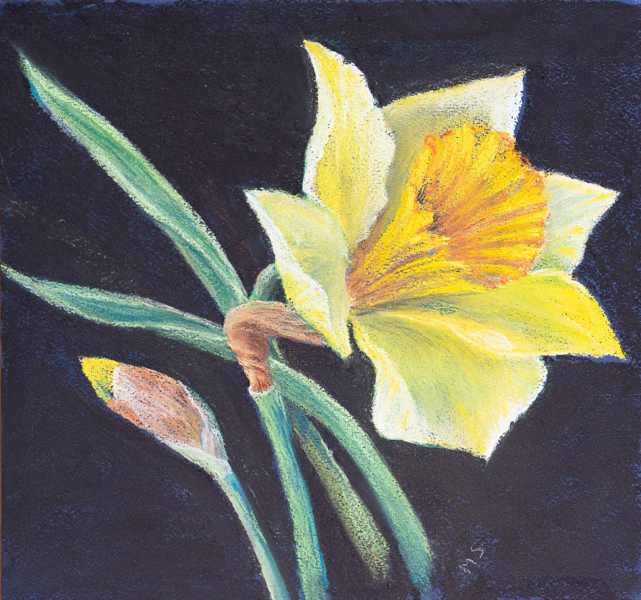 Skönheten med en påsklilja, 2021 (pastell) av Margo Starkey