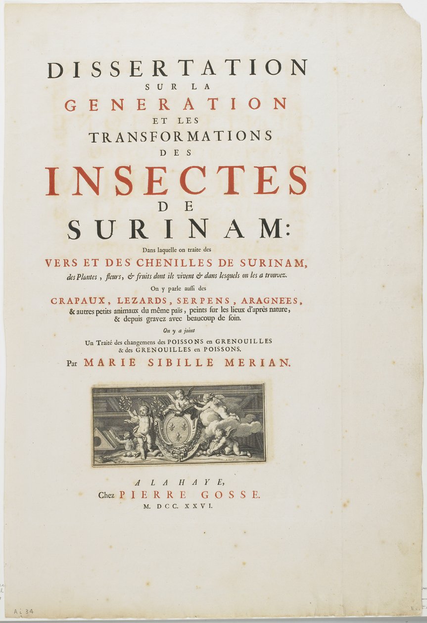 Titelsida från Metamorphosis Insectorum Surinamensium, 1726 (gravyr och boktryck) av Maria Sibylla Merian