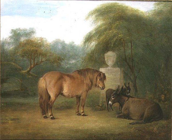 Ponny och åsnor i en glänta av Maria Spilsbury
