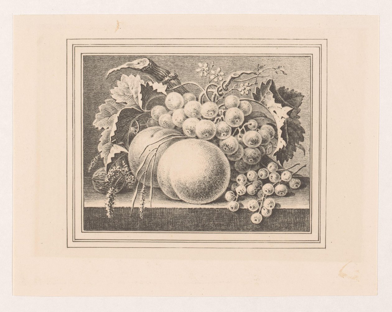 Komposition med frukter i en ram av Maria Geertruida de Goeje Barbiers (attributed to)