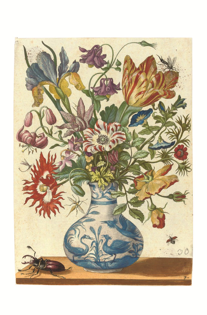 Tallrik från Blumenbuch (handkolorerad gravyr) av Maria Sibylla Graff Merian